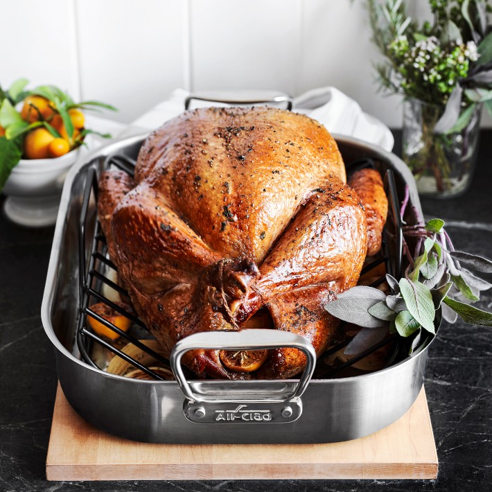 All Clad Stainless Steel Roasting Pan with Rack Williams Sonoma