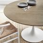 Tulip Pedestal Dining Table