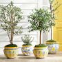 Italian Hand-Painted Planter Collection