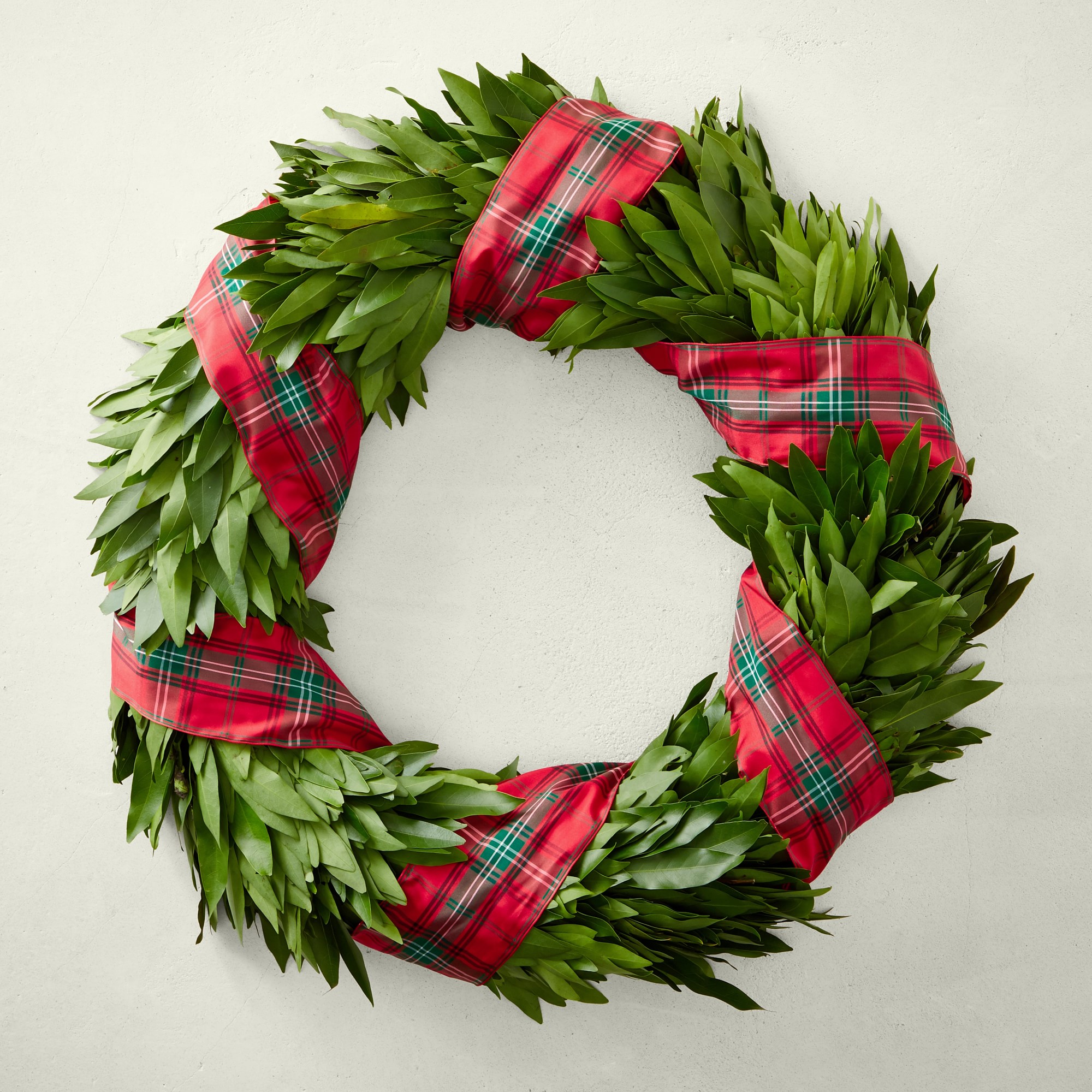 Bay Leaf Live Wreath with Tartan Ribbon, 22"