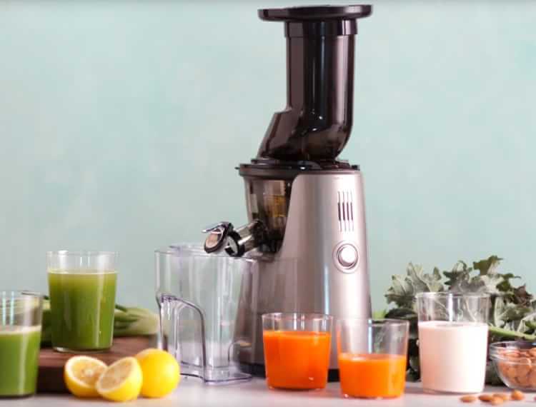 Kuvings Whole Slow Juicer Elite C7000 Williams Sonoma