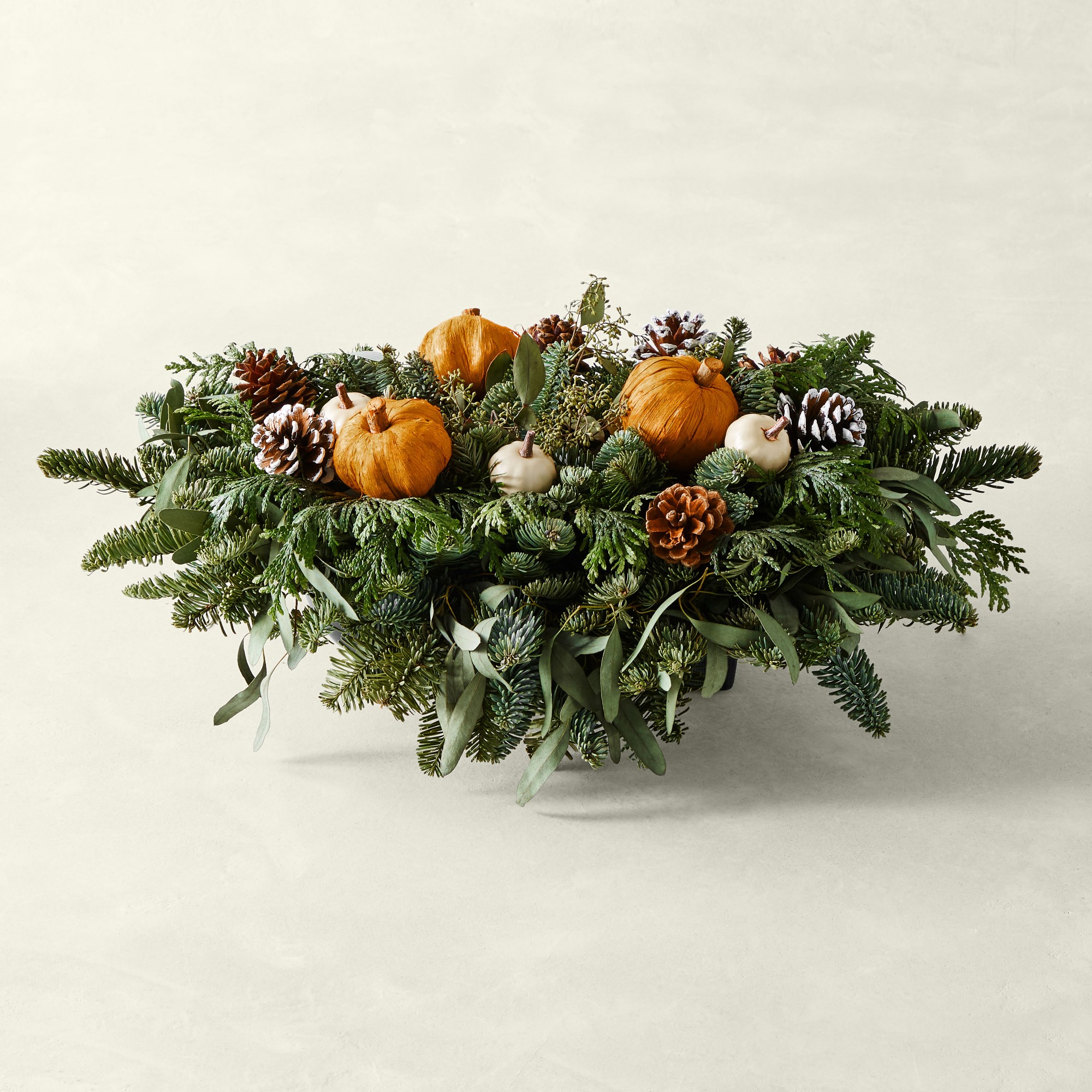 Greens & Gourds Thanksgiving Live Centerpiece