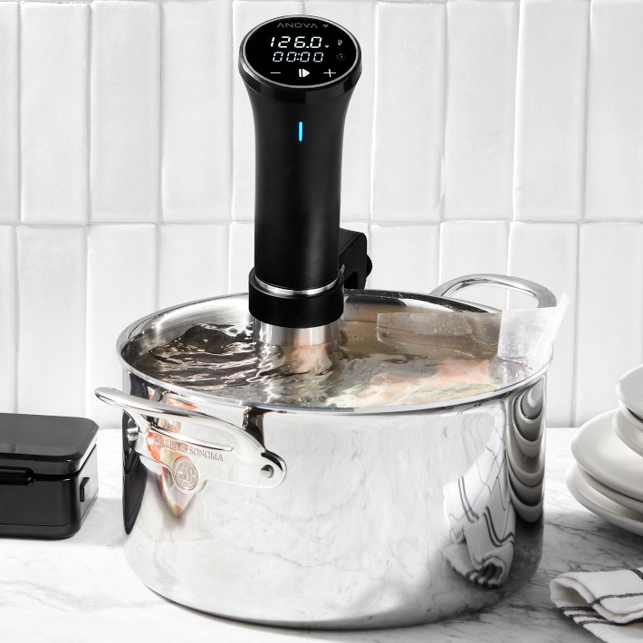 Anova Precision® Cooker 3.0 with Wi-Fi + Williams Sonoma Thermo-Clad  Stainless-Steel Stock Pot