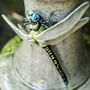 Bordallo Pinheiro The Meaning Vase with Dragonfly