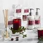 Williams Sonoma Winter Berry Candle