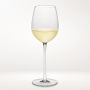 Williams Sonoma Reserve Sauvignon Blanc Wine Glasses