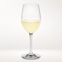 Open Kitchen by Williams Sonoma White Wine Glasses, Set of 12