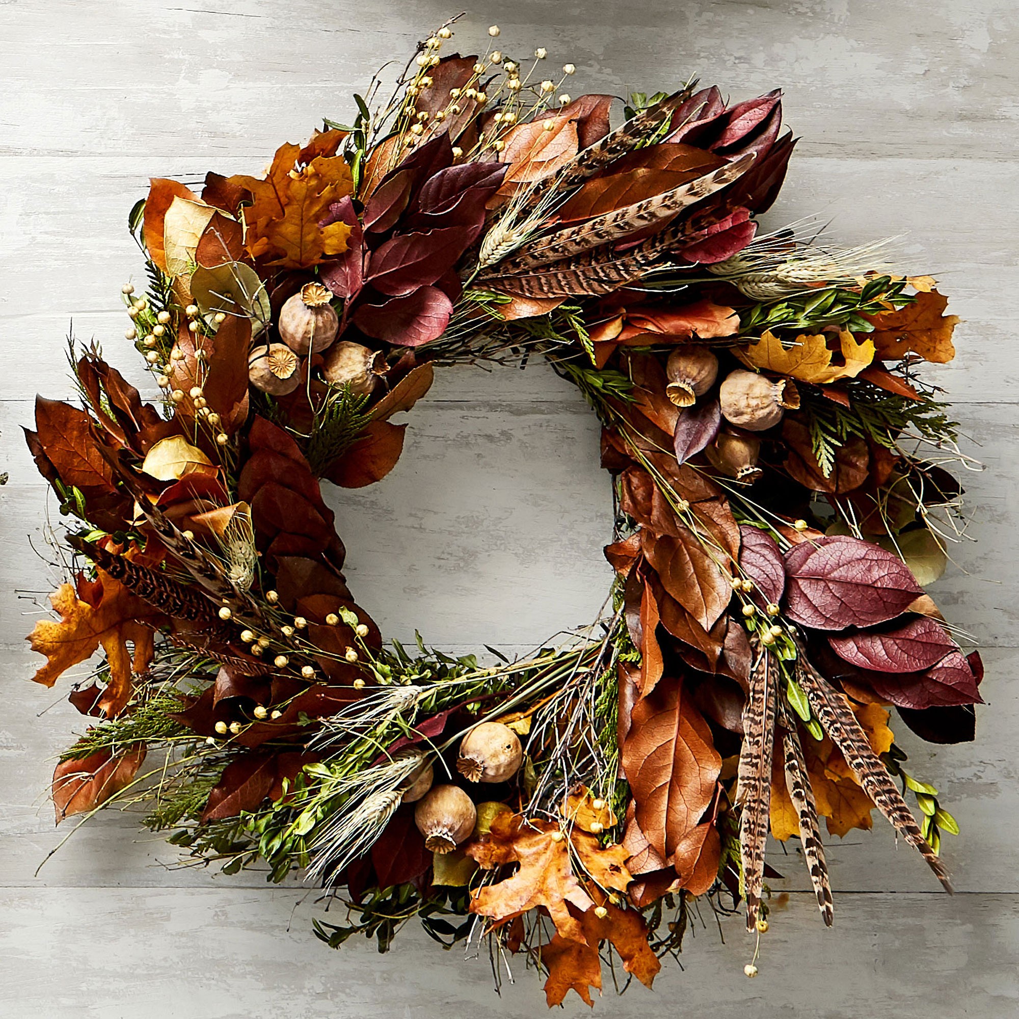 Pheasant Feather Live Wreath