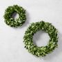 Bay Leaf Live Wreath &amp; Garland