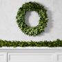 Bay Leaf Live Wreath &amp; Garland