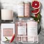 Williams Sonoma Pink Grapefruit Candle