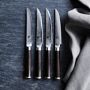 Shun Classic Steak Knives, Set of 4