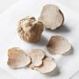 Regalis White Truffles, Medium