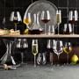 Williams Sonoma Estate Champagne Wine Glasses