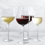 Williams Sonoma Reserve Sauvignon Blanc Wine Glasses