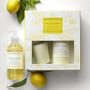 Williams Sonoma Meyer Lemon Guest Set