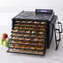 Excalibur 9-Tray Digital Controller Food Dehydrator