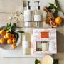 Williams Sonoma Sunny Orange Citrus Hand Soap &amp; Lotion 3-Piece Set