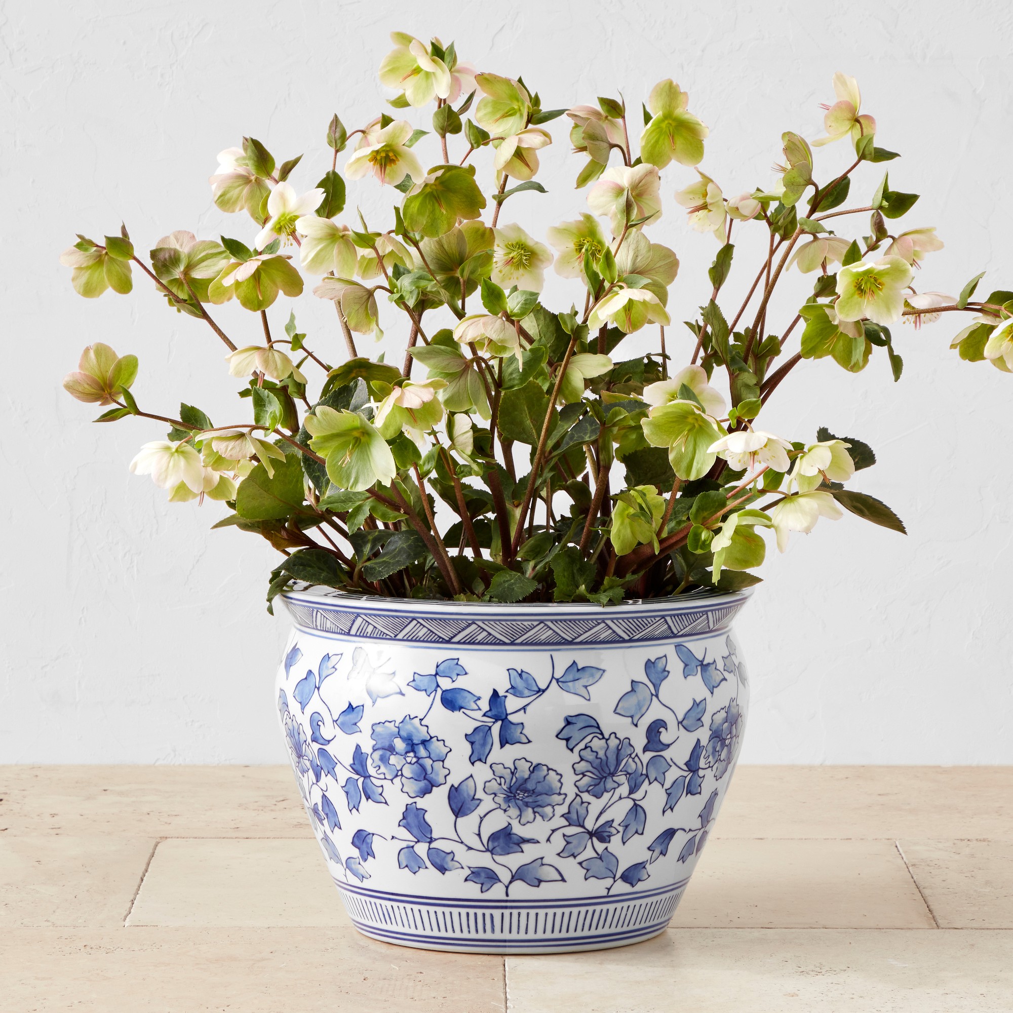 Blue & White Ceramic Planter