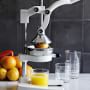 OrangeX Juicer