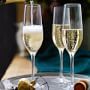 Open Kitchen by Williams Sonoma Champagne Flutes