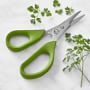 Williams Sonoma Herb Shears