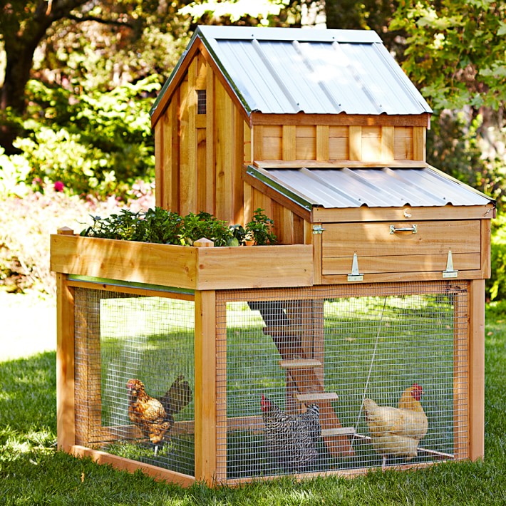 Cedar Chicken Coop With Planter