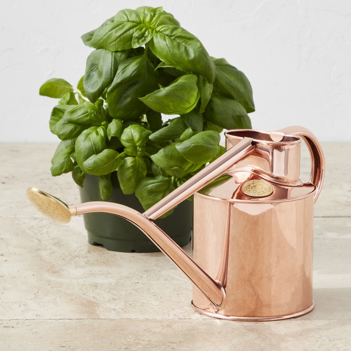 Haws Indoor Watering Can watering can and plant sprayer made of copper in a gift - Set copper can The Rowley Ripple - Two buy Pint copper