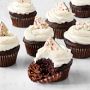 Williams Sonoma Peppermint Bark Cupcakes