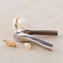 Williams Sonoma Stainless-Steel Garlic Press