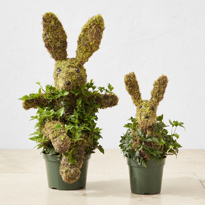 Easter Eggs Moss Planter Pots♥️Set of online 2‼️