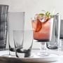 Williams Sonoma Smoke Grey Double Old-Fashioned Glasses