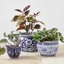 Blue &amp; White Ceramic House Planter Set