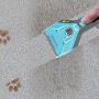 Shark&#174; CarpetXpert&#8482; with Stainstriker&#8482; Upright Deep Carpet Cleaner EX301