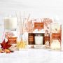 Williams Sonoma Pumpkin Spice Essential Oils Collection