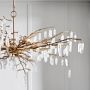 Forest Dawn Chandelier