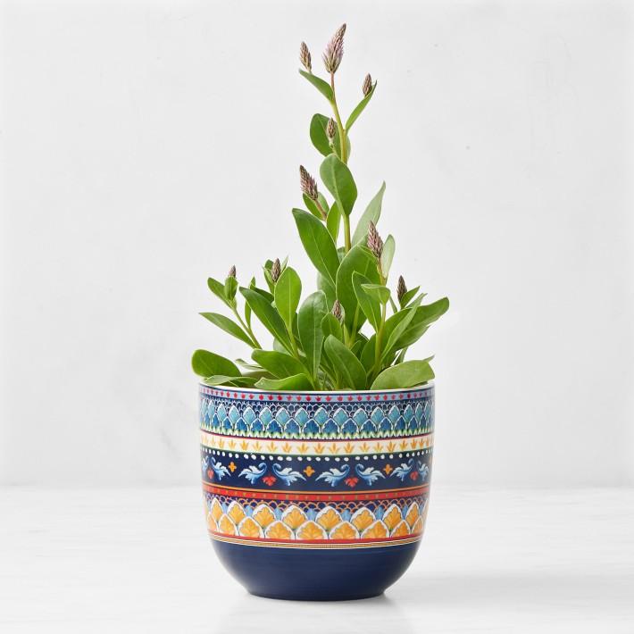 Sicily Cache Pot Collection