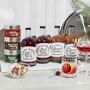 Williams Sonoma Festive Cocktails Set