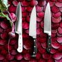 W&#252;sthof Classic Ikon Chef's Knife