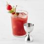 Williams Sonoma Mixology Jigger