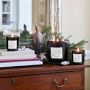 Williams Sonoma Home x Josh Young Sycamore House Candle