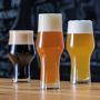 Fortessa Basic Stout Beer Glasses, Set of 6