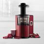 Omega Vertical Masticating Juicer
