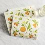 Citrus Sponge Dishclothes, Set of 3