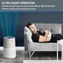 Rowenta Air City Air Purifier, PU2840U1