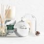 Williams Sonoma Winter Forest Ornament Candle