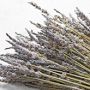 Dried Lavender Bunch