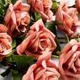 Jeff Leatham x Williams Sonoma Real Touch Faux Mocha Rose Stems, Set of 12