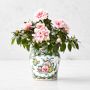 Famille Rose Planter, Mini