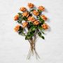 Jeff Leatham Real Touch Faux Toffee Rose Stems, Set of 12